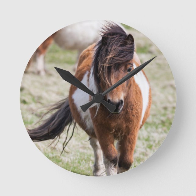 Shetland Pony, Shetland Islands Round Clock (Front)