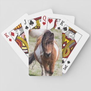 Shetland Pony, Shetland Islands, Scotland Playing Cards