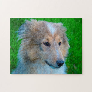 Shetland Sheep Dog Jigsaw. Jigsaw Puzzle