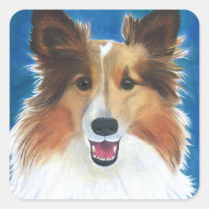 Shetland Sheep Dog Square Sticker