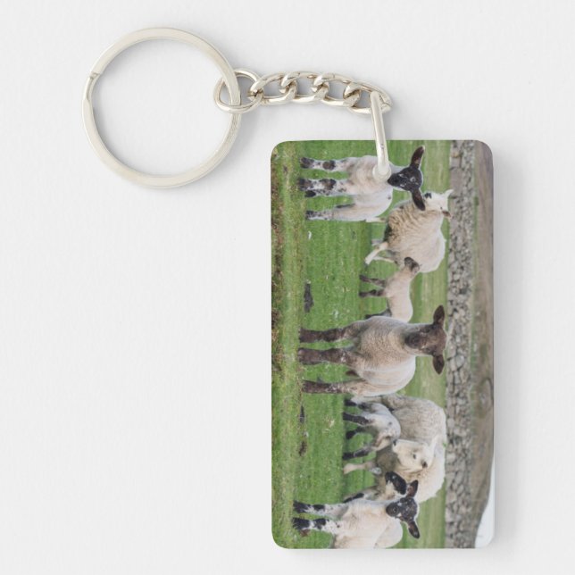 Shetland Sheep Key Ring (Front)
