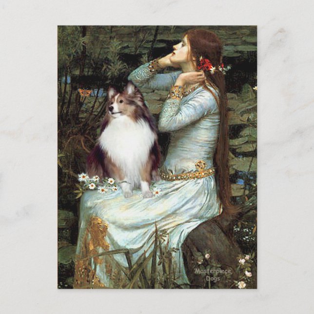 Shetland Sheepdog 18 - Ophelia Seated Postcard (Front)