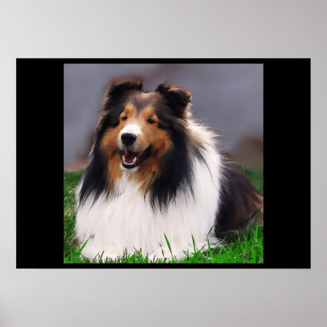 Shetland Sheepdog Art Print (Front)