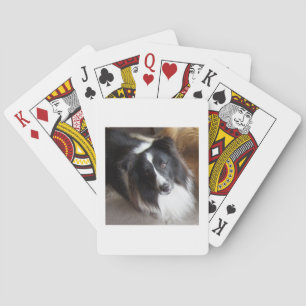 Shetland Sheepdog Black and White Playing Cards