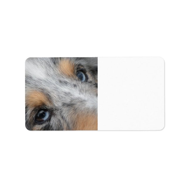Shetland Sheepdog Blue Merle Eyes Label (Front)