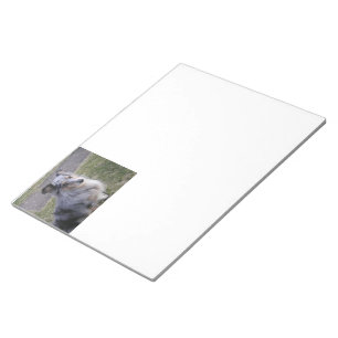 Shetland_Sheepdog blue merle sitting Notepad