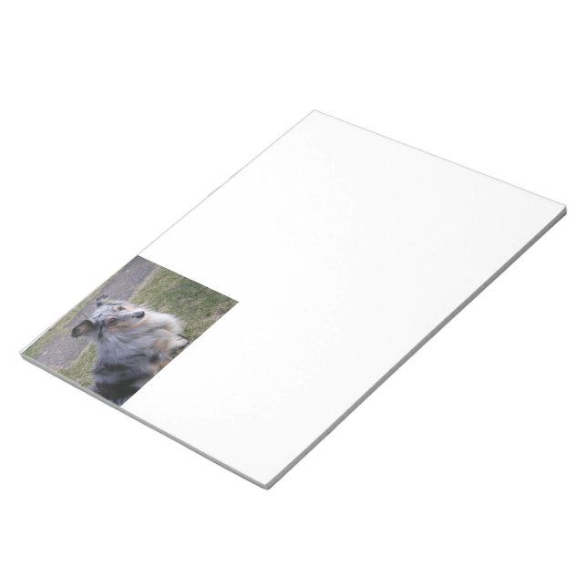 Shetland_Sheepdog blue merle sitting Notepad (Angled)