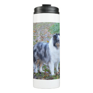 Shetland Sheepdog Blue Merle Thermal Tumbler