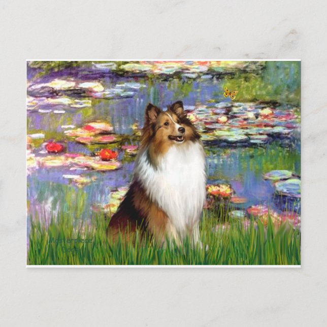 Shetland Sheepdog (Bz) - Lilies 2 Postcard (Front)