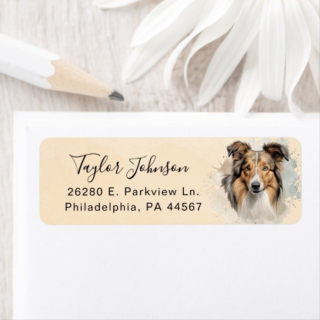 Shetland Sheepdog Dog Return Address Label (Insitu)