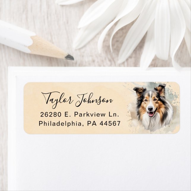 Shetland Sheepdog Dog Return Address Label (Insitu)