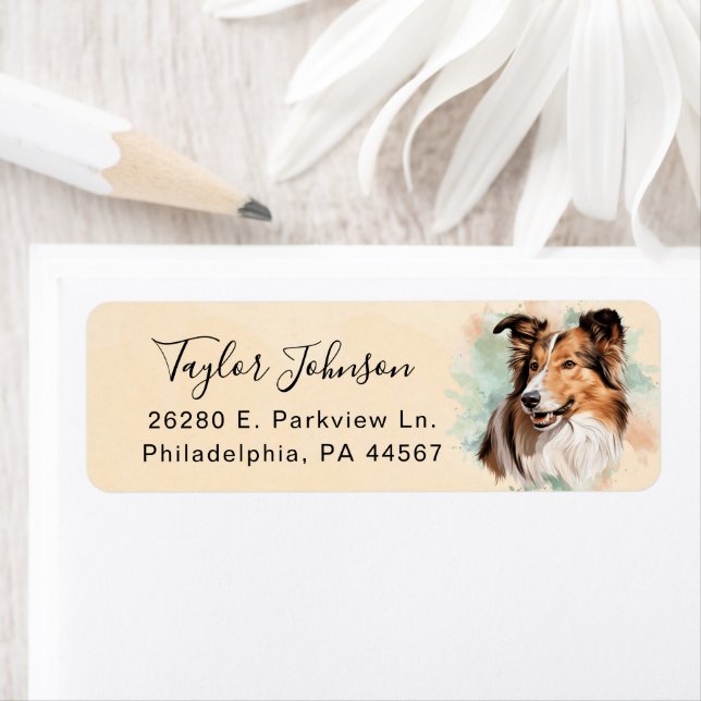 Shetland Sheepdog Dog Return Address Label (Insitu)