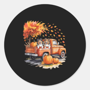 Shetland Sheepdog Dog Truck Pumpkin Autumn Fall Th Classic Round Sticker
