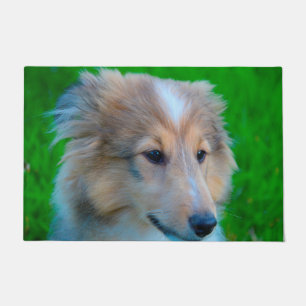 Shetland Sheepdog. Doormat