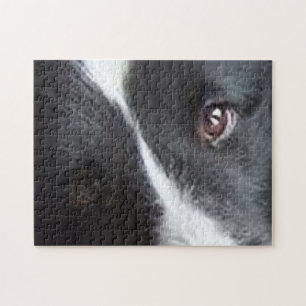 Shetland Sheepdog Eyes Jigsaw Puzzle