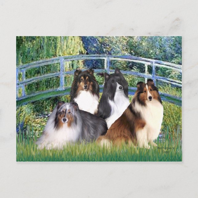 Shetland Sheepdog (four) - Bridge Postcard (Front)