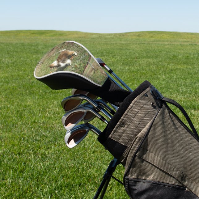 shetland sheepdog full 2 golf head cover (In Situ)