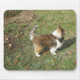 Shetland Sheepdog Full Second Mouse Pad