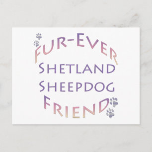 Shetland Sheepdog Furever Friend Postcard