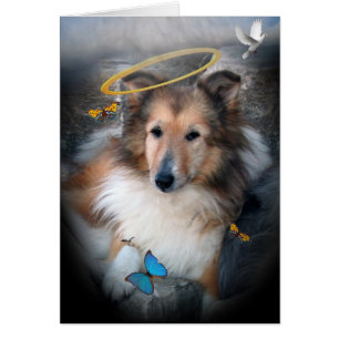 Shetland Sheepdog Heaven's Angel Cards