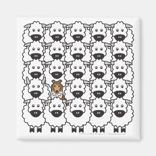 Shetland Sheepdog in the Sheep Magnet