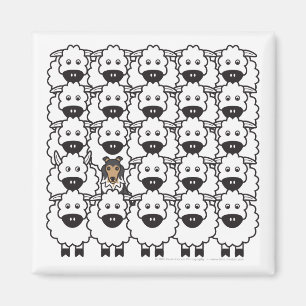 Shetland Sheepdog in the Sheep Magnet