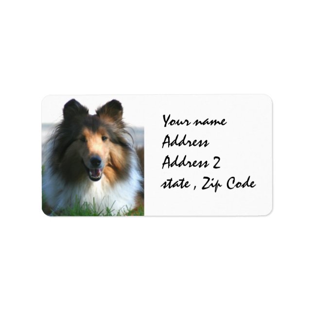 Shetland Sheepdog Label (Front)