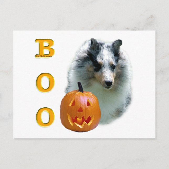 Shetland Sheepdog (merle) Boo Postcard (Front)