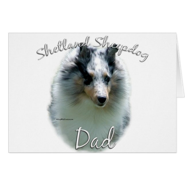 Shetland Sheepdog (merle) Dad 2 (Front Horizontal)
