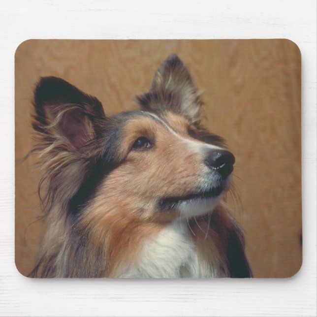 Shetland Sheepdog Mouse Pad (Front)