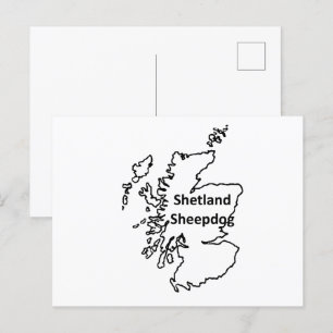 Shetland Sheepdog Name In Origin Postcard