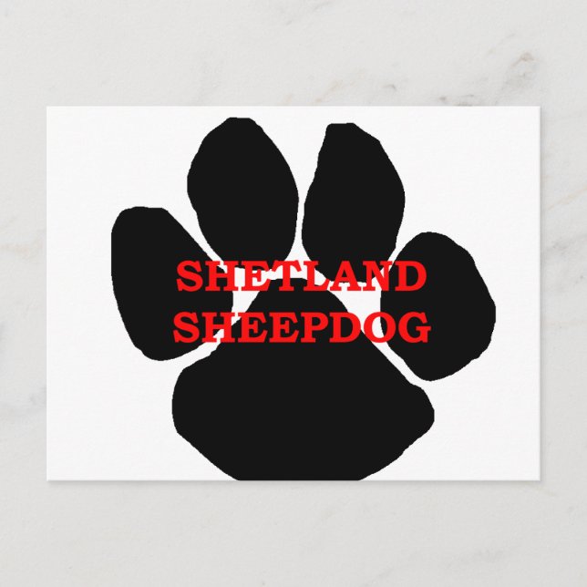 shetland sheepdog name paw postcard (Front)