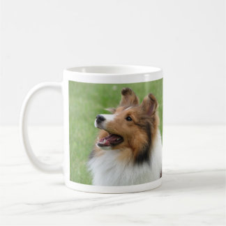 Shetland Sheepdog on mug