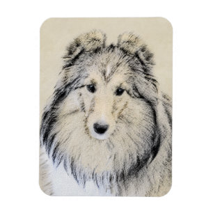 Shetland Sheepdog Painting - Cute Original Dog Art Magnet
