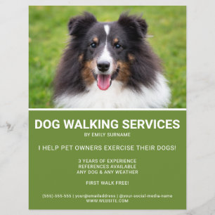 Shetland Sheepdog Photo Green Dog Walker Template Flyer