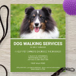 Shetland Sheepdog Photo Green Dog Walker Template Flyer<br><div class="desc">Promote your dog walking business, pet sitting services or other dog related jobs with the help of this cute design featuring Destei's photo of a happy tricolor Shetland Sheepdog / Sheltie breed dog. You can also change the photo to your own image, if you wish. Personalise the sample text areas...</div>