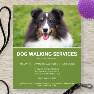 Shetland Sheepdog Photo Green Dog Walker Template Flyer