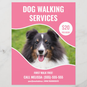Shetland Sheepdog Photo - Pink Dog Walking Service Flyer