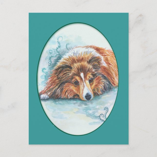 Shetland Sheepdog Postcards (Front)
