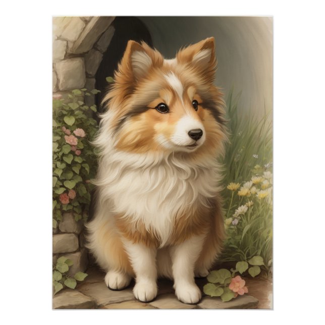 Shetland Sheepdog Poster (Front)
