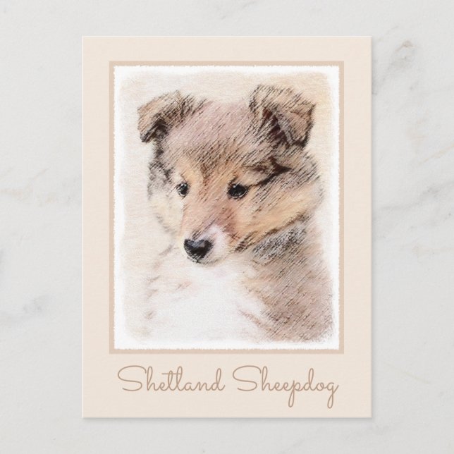 Shetland Sheepdog Puppy Painting Original Dog Art Postcard (Front)