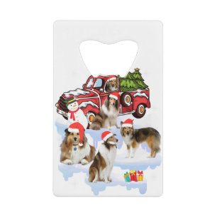 Shetland sheepdog riding xmas merry christmas dog