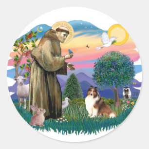 Shetland Sheepdog (sable and white) Classic Round Sticker