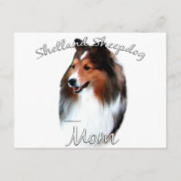 Shetland Sheepdog (sable) Mum 2
