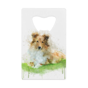 Shetland Sheepdog / sheltie