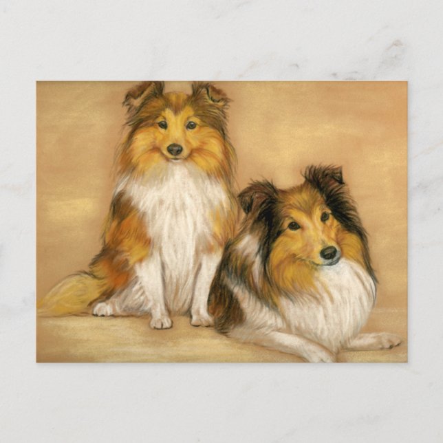 Shetland Sheepdog Sheltie Dog Art Postcard (Front)
