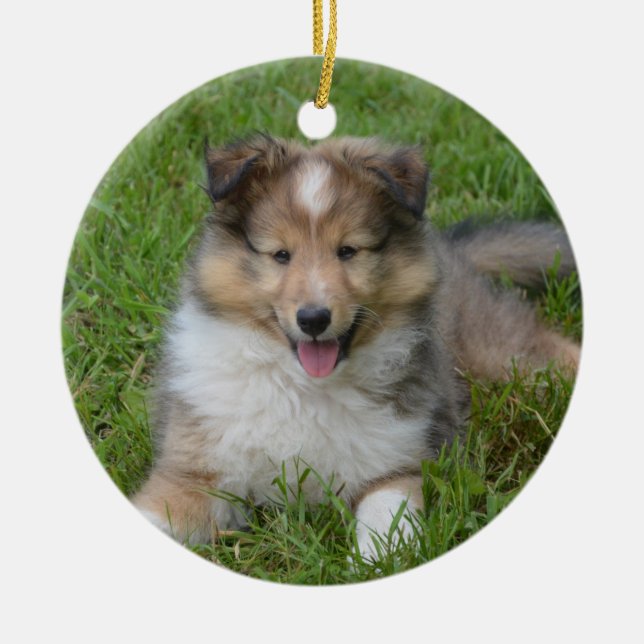 Shetland Sheepdog - Sheltie Puppy Dog Ceramic Tree Decoration (Front)