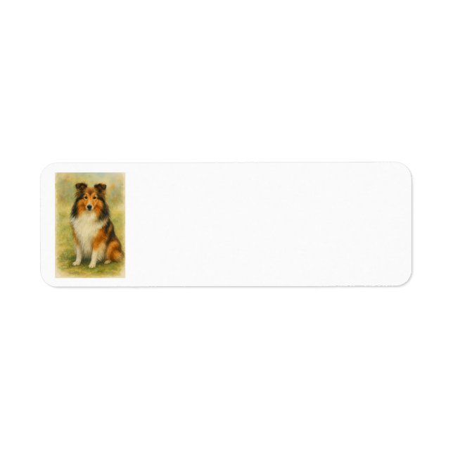 Shetland Sheepdog Sitting Watercolor  (Front)