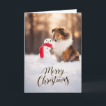 Shetland Sheepdog Snowman Christmas Card<br><div class="desc">This beautiful Christmas card features a sable Shetland Sheepdog sitting in the snow beside a cheerful little snowman wrapped in a bright red scarf, glowing in soft golden winter light. The inside is blank and fully customizable, so you can add your own holiday message, family greeting, or personal note. Perfect...</div>