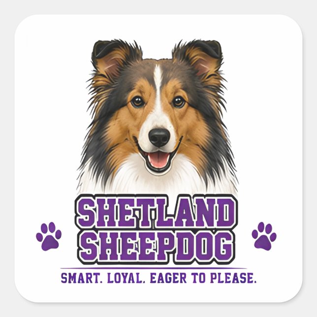 🐾 Shetland Sheepdog 🐾 Square Sticker (Front)